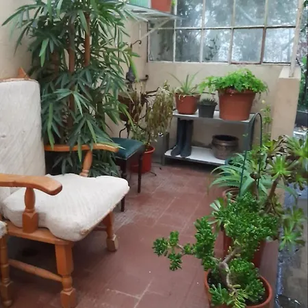 Casa Da Tia Lena Couette-café