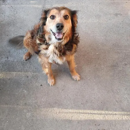 Casa Da Tia Lena Couette-café