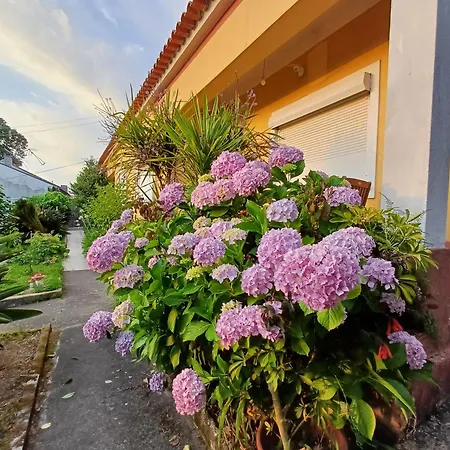 Casa Da Tia Lena كويمبرا