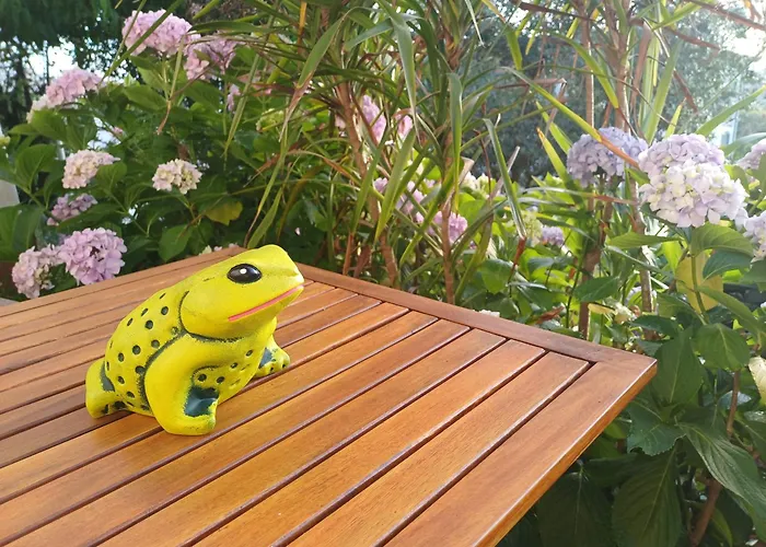 Casa Da Tia Lena Bed & Breakfast