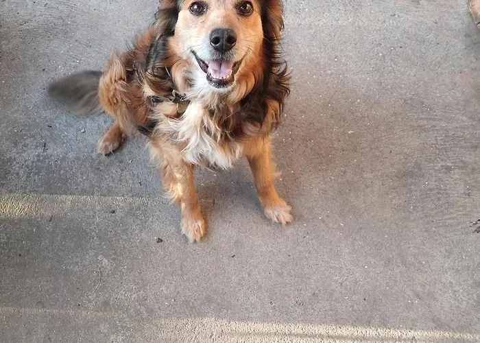 Casa Da Tia Lena Bed & Breakfast