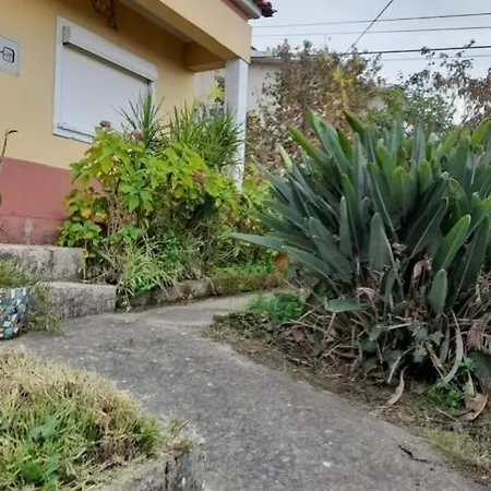 Casa Da Tia Lena Bed & Breakfast