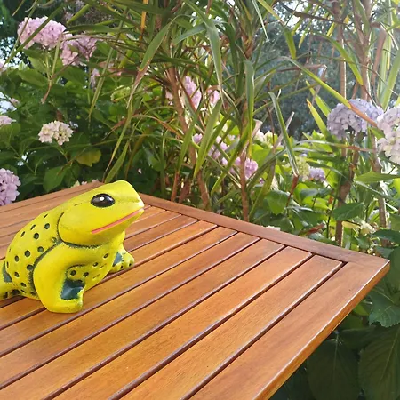 Casa Da Tia Lena Bed and breakfast