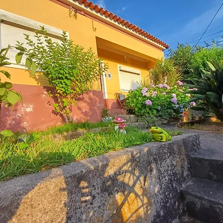Casa Da Tia Lena كويمبرا