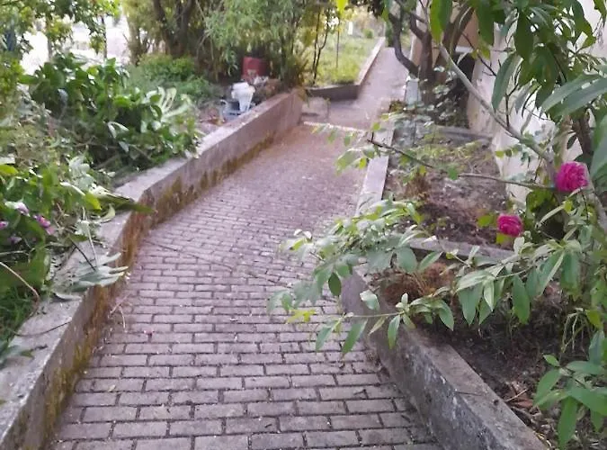 Casa Da Tia Lena * 科英布拉