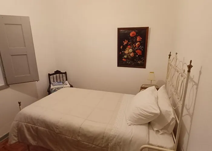 Casa Da Tia Lena كويمبرا