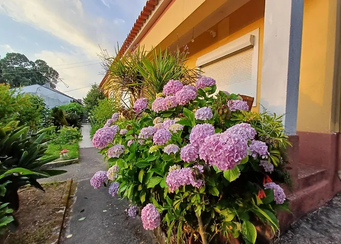 Casa Da Tia Lena كويمبرا
